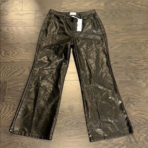 Every Black Shiny Pants